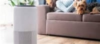 🌬️ Do Air Purifiers Really Help You Breathe Cleaner Air?